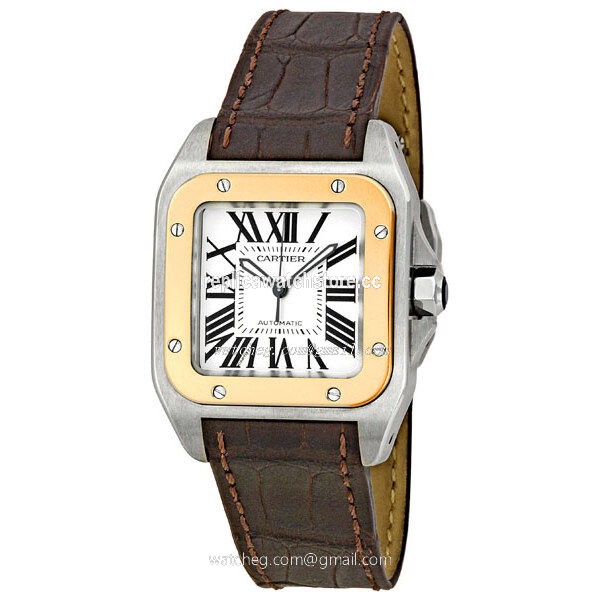 Cartier Santos W20107X7 Unisex Automatic
