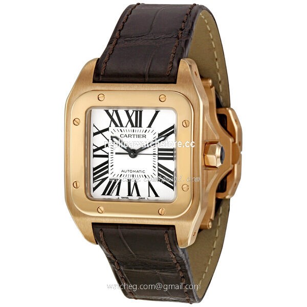 Cartier Santos W20108Y1 Ladies Automatic