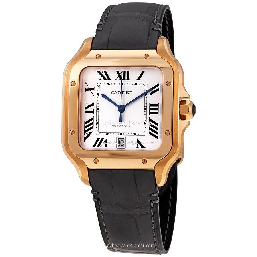 Cartier Santos WGSA0011 Men's Automatic