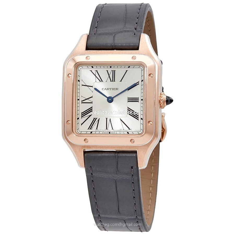 Cartier Santos WGSA0021 Men's Quartz