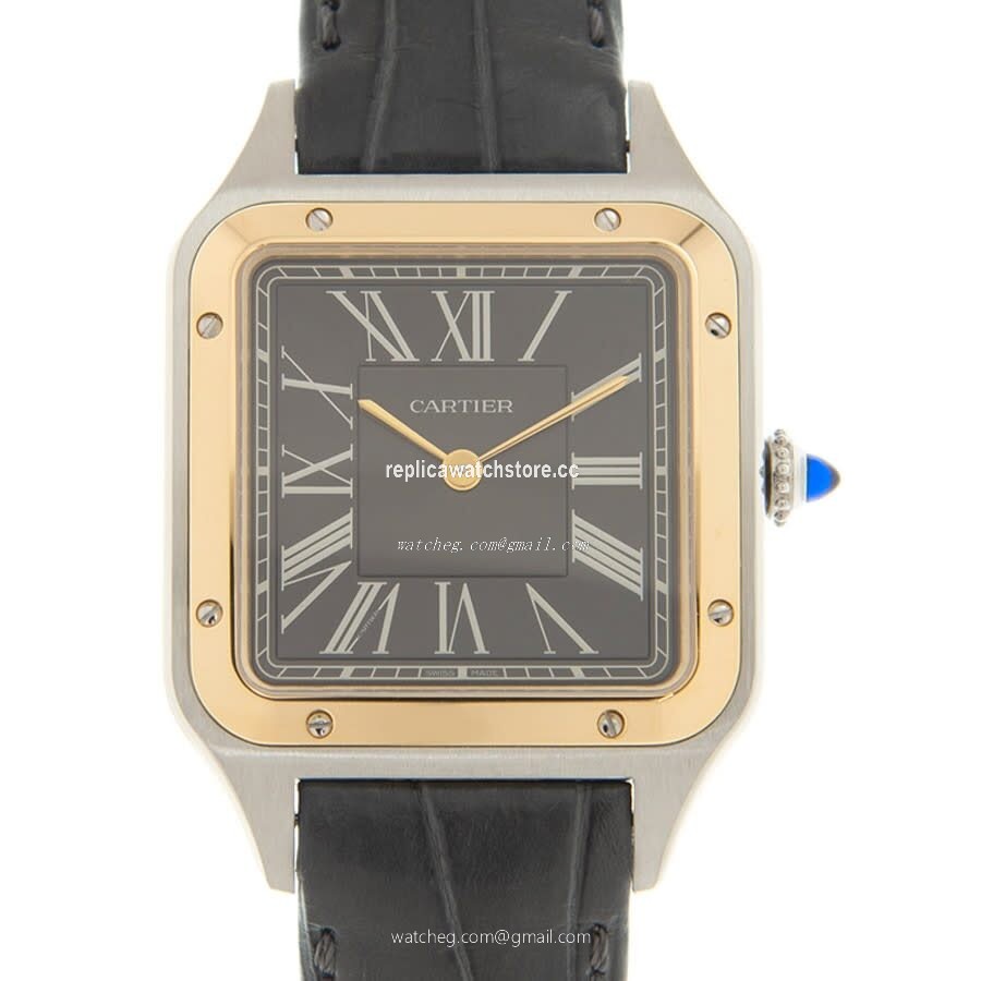 Cartier Santos W2SA0015 Men's Automatic