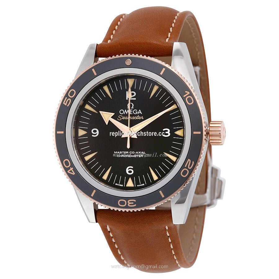 Omega Seamaster 233.22.41.21.01.002 Men's Automatic