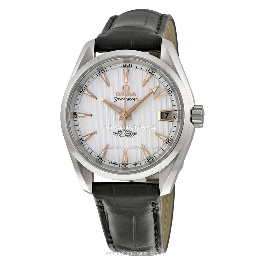 Omega Seamaster 231.13.39.21.02.002 Men's Automatic