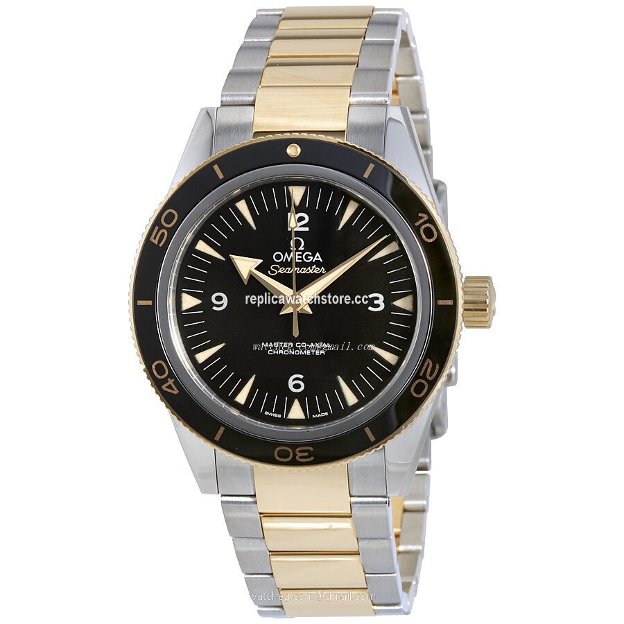 Omega Seamaster 233.20.41.21.01.002 Men's Automatic