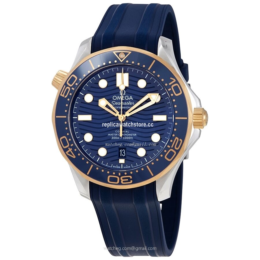 Omega Seamaster 210.22.42.20.03.001 Men's Automatic