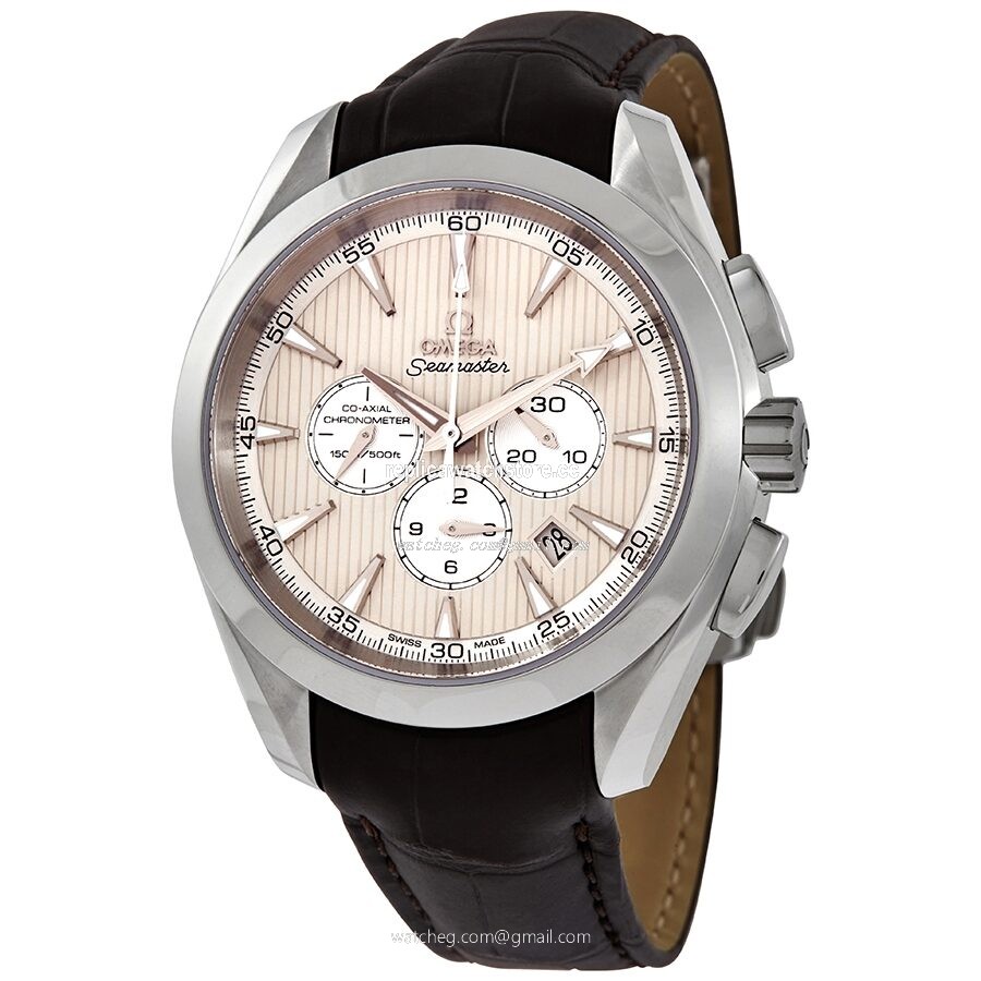 Omega Seamaster 231.13.44.50.09.001 Men's Automatic