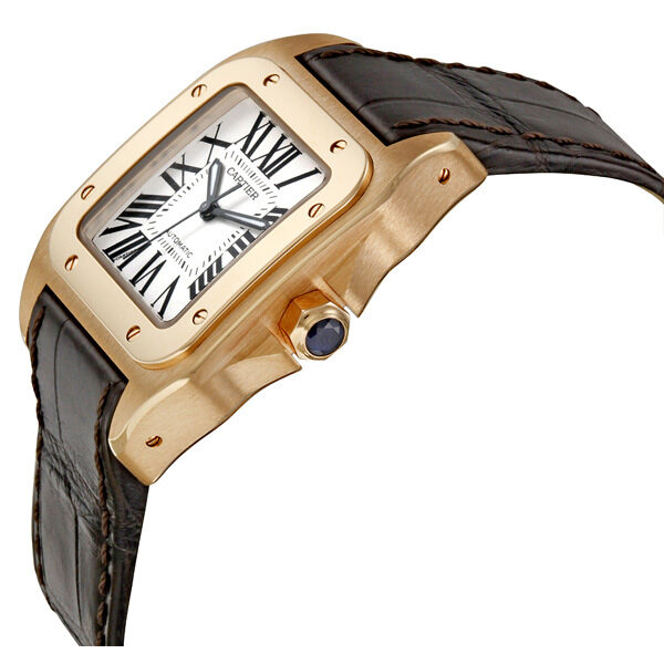 Cartier Santos W20108Y1 Ladies Automatic 1