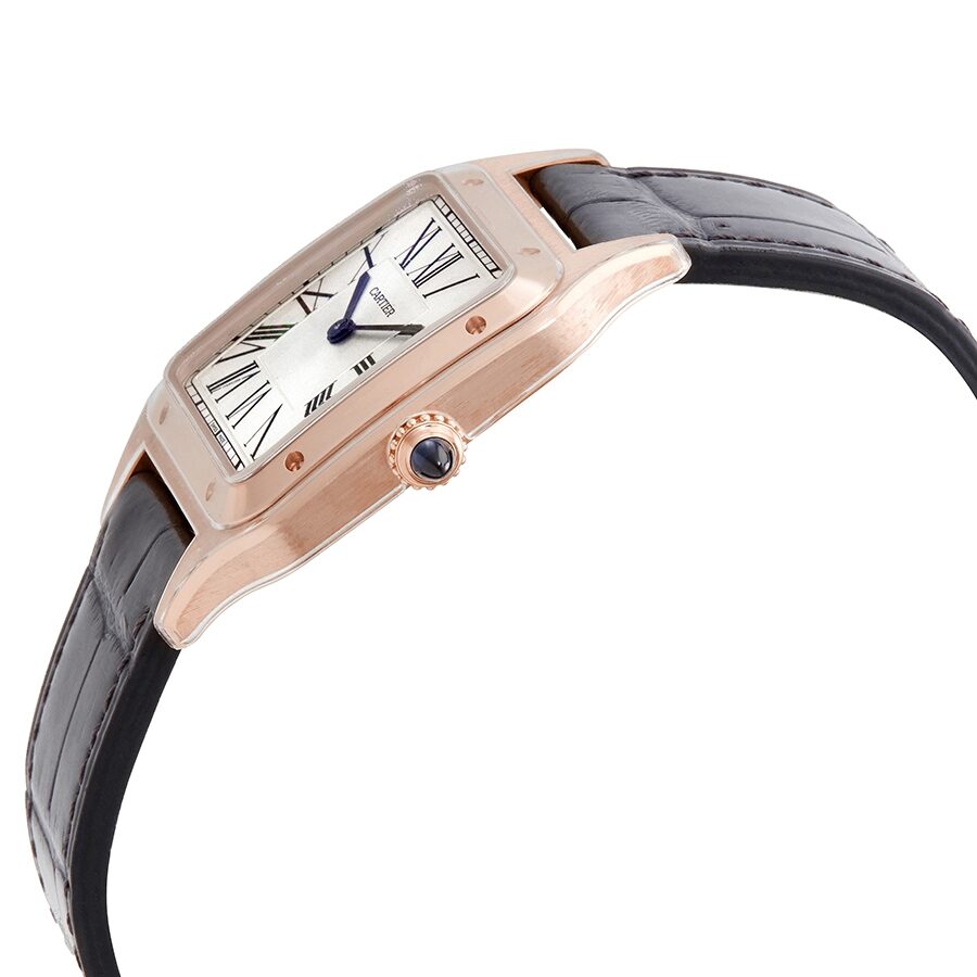 Cartier Santos WGSA0021 Men's Quartz 1
