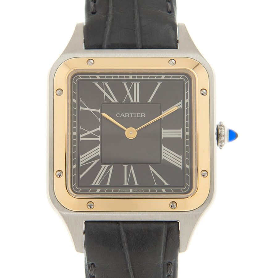 Cartier Santos W2SA0015 Men's Automatic 1
