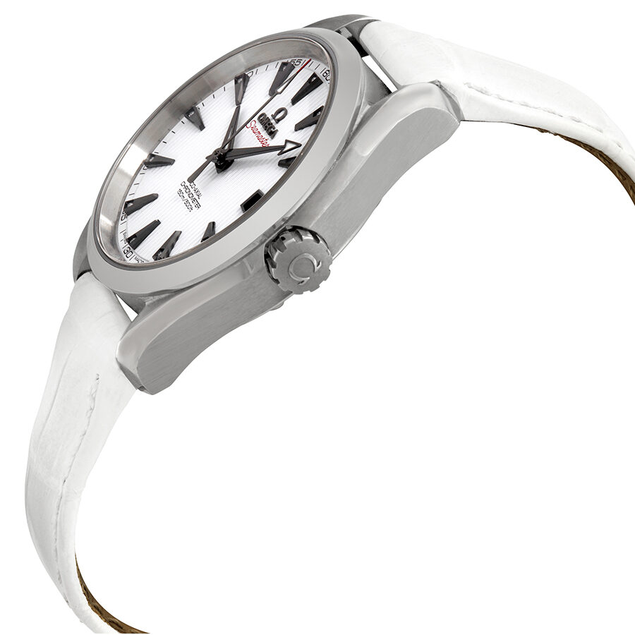 Omega Aqua Terra 231.13.39.21.54.001 Men's Automatic 1