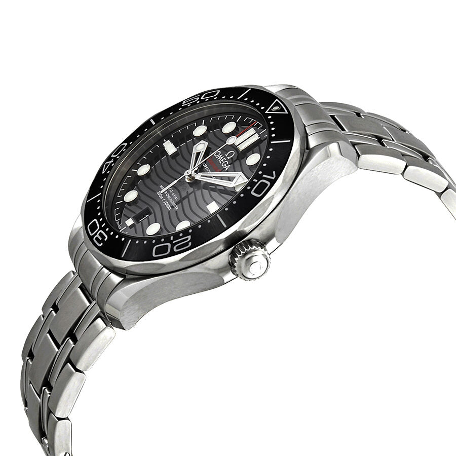 Omega Seamaster 210.30.42.20.01.001 Men's Automatic 1