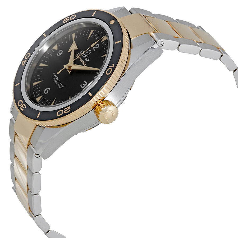 Omega Seamaster 233.20.41.21.01.002 Men's Automatic 1