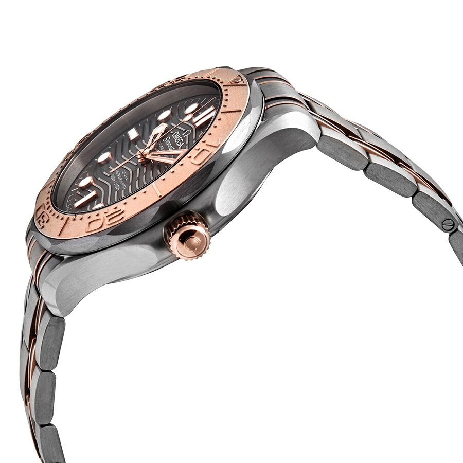 Omega Seamaster 210.60.42.20.99.001 Men's Automatic 1