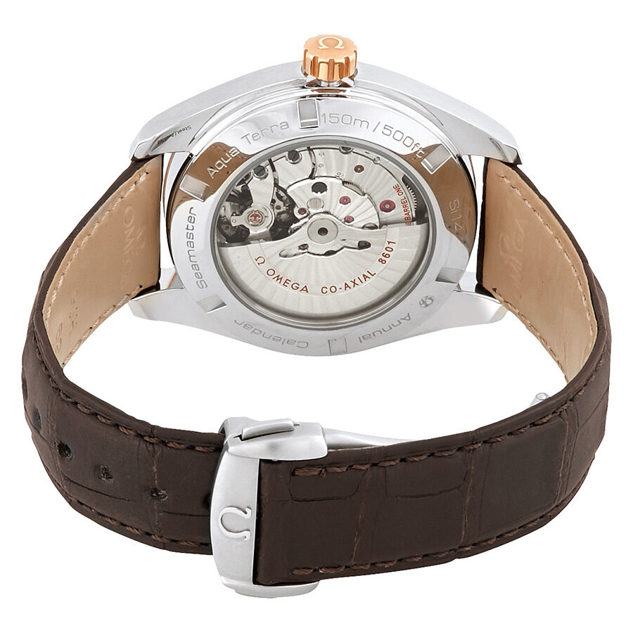 Omega Aqua Terra 231.23.43.22.06.002 Men's Automatic 2