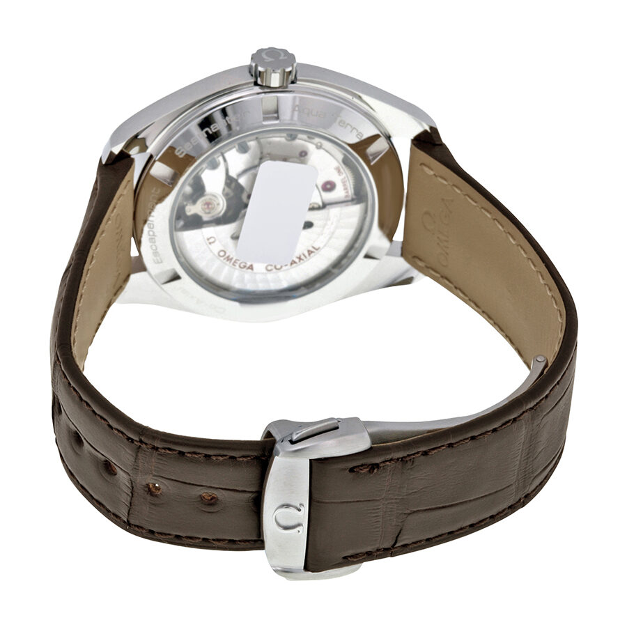 Omega Aqua Terra 231.13.42.21.02.001 Men's Automatic 2