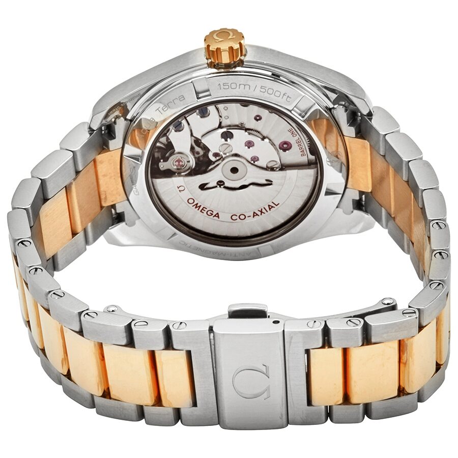 Omega Aqua Terra 231.20.39.21.08.001 Men's Automatic 2