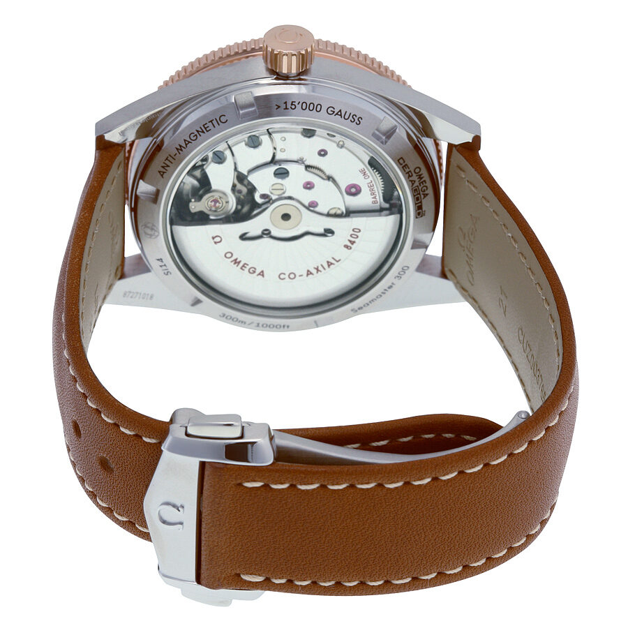 Omega Seamaster 233.22.41.21.01.002 Men's Automatic 2