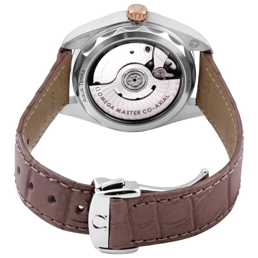 Omega Aqua Terra 220.23.34.20.06.001 Ladies Automatic 2