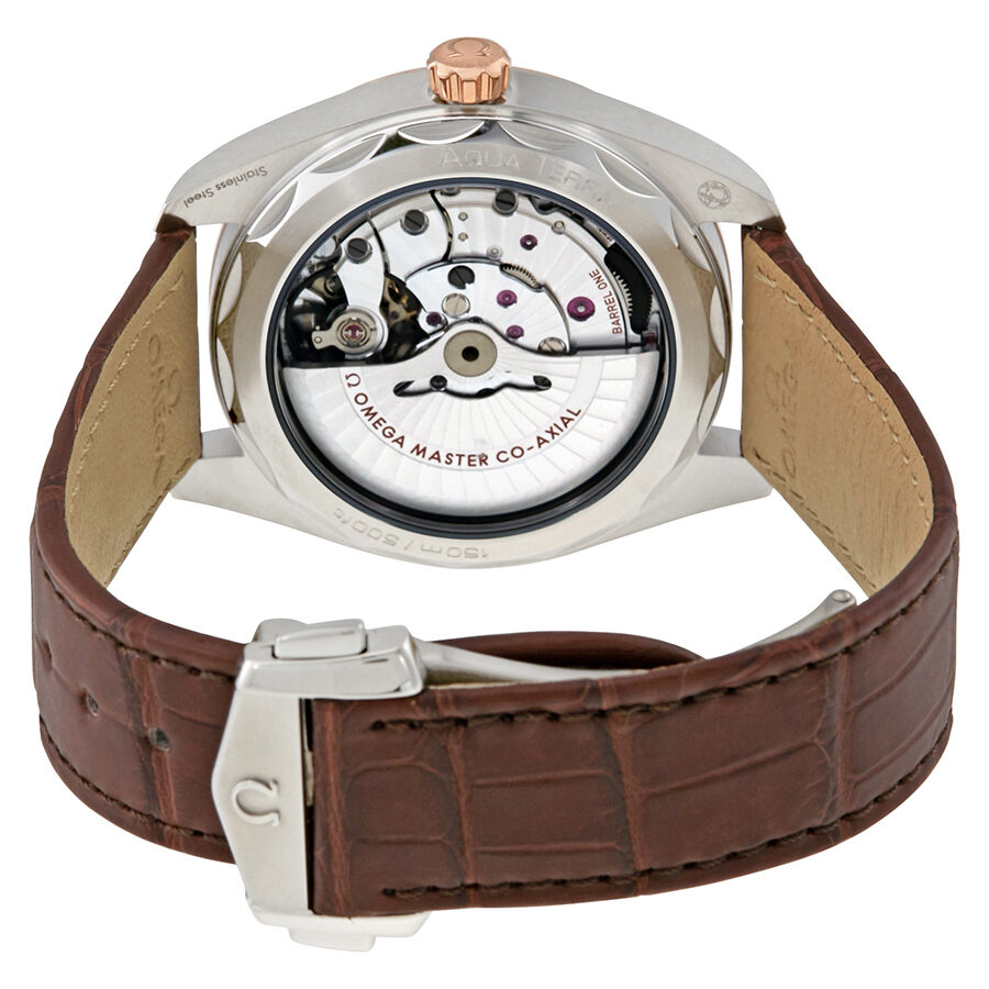 Omega Aqua Terra 220.23.41.21.02.001 Men's Automatic 2