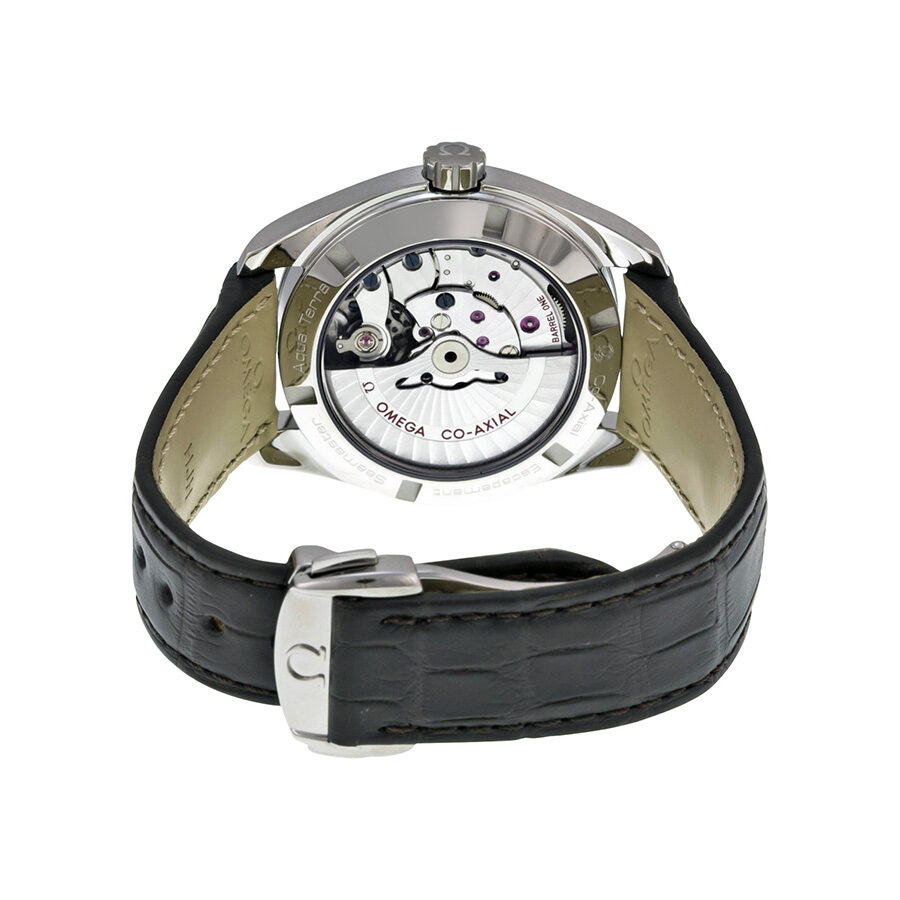 Omega Seamaster 231.13.39.21.02.002 Men's Automatic 2