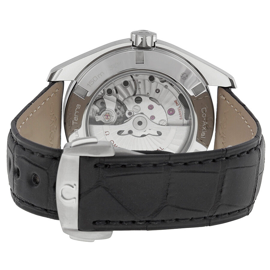 Omega Aqua Terra 231.13.43.22.01.001 Men's Automatic 2