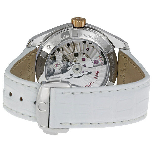 Omega Seamaster 231.23.39.21.55.001 Men's Automatic 2