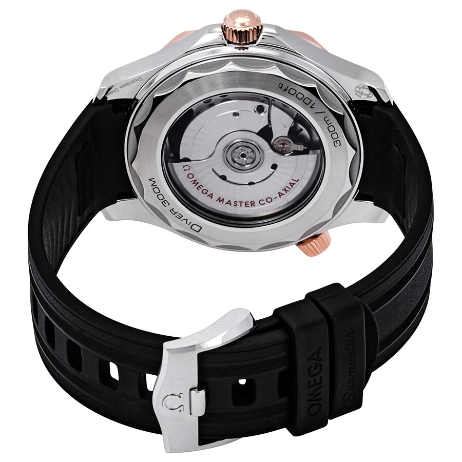 Omega Seamaster 210.22.42.20.01.002 Men's Automatic 2