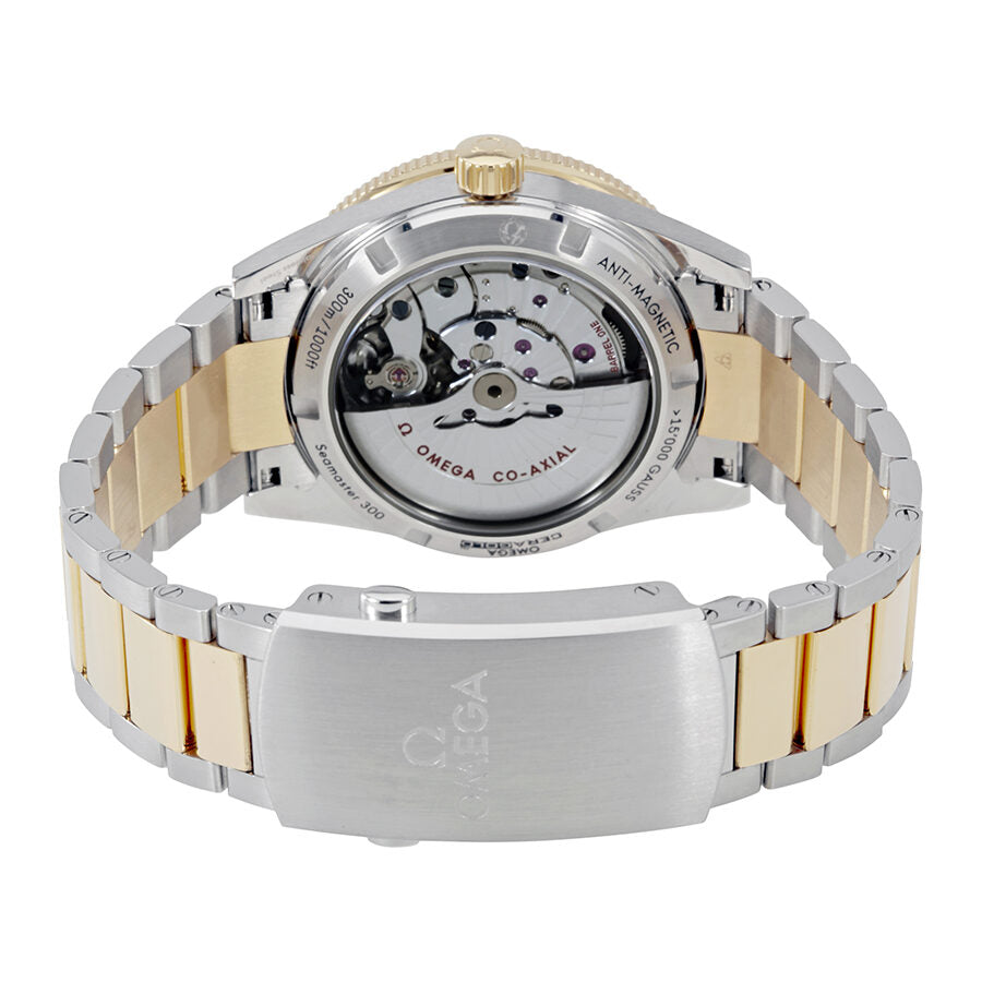 Omega Seamaster 233.20.41.21.01.002 Men's Automatic 2