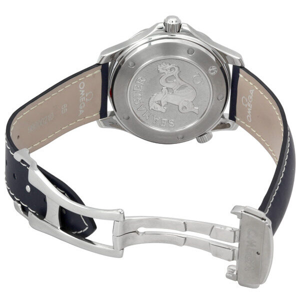 Omega Seamaster 2920.80.91 Men's Automatic 2