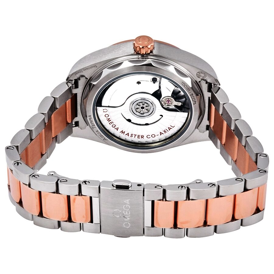 Omega Seamaster 220.20.34.20.06.001 Ladies Automatic 2