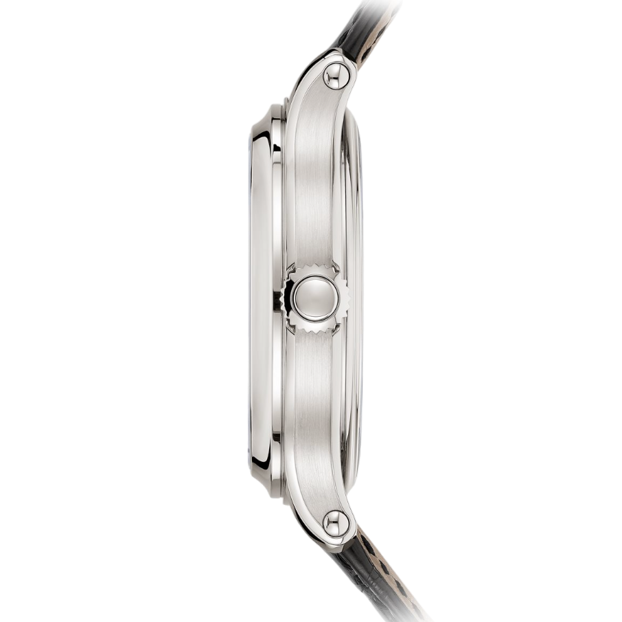 Patek Philippe Grand Complications Grande and Petite Sonnerie Minute Repeater 6301P-001 Men/Unisex Manual winding 2