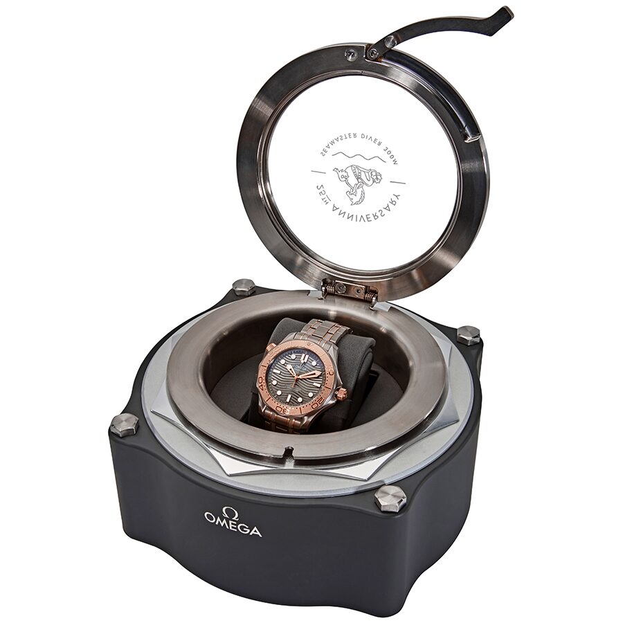 Omega Seamaster 210.60.42.20.99.001 Men's Automatic 3