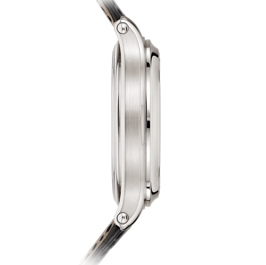 Patek Philippe Grand Complications Grande and Petite Sonnerie Minute Repeater 6301P-001 Men/Unisex Manual winding 3